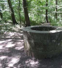 Szent Mihály pálos kolostorrom