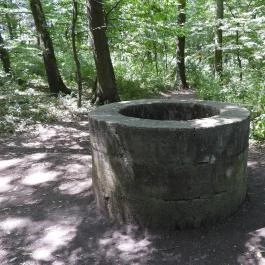 Szent Mihály pálos kolostorrom Nagyvázsony - Külső kép