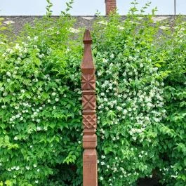 Szent Miklós templomrom Csopak - Egyéb