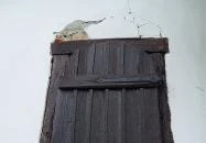 Szent Orbán-kápolna Bátaszék