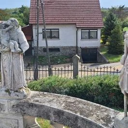 Szent Szív Fertőszéplak - Egyéb