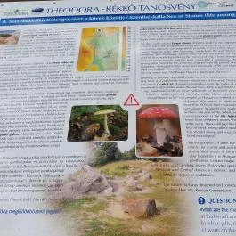 Szentbékkállai Kőtenger, Szentbékkálla - Egyéb