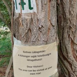 Szentbékkállai Kőtenger, Szentbékkálla - Egyéb