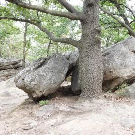 Szentbékkállai Kőtenger, Szentbékkálla - Külső kép