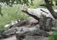 Szentbékkállai Kőtenger Szentbékkálla Szentbékkállai Kőtenger Szentbékkálla