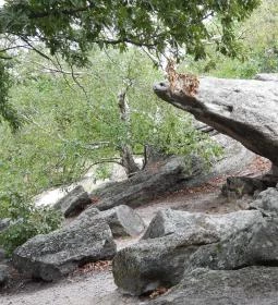 Szentbékkállai Kőtenger