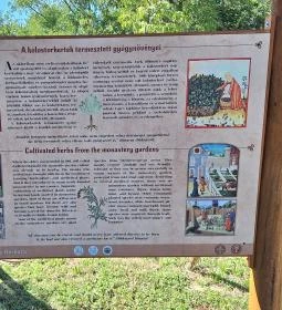 Szentjakabi Bencés Apátság Romkert