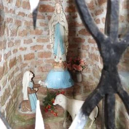 Szentkút Jásd - Egyéb