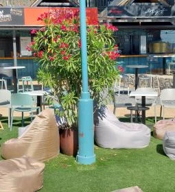 Szigliget Várudvari műjégpálya