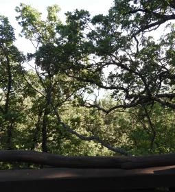 Szigligeti Óvár-kilátó