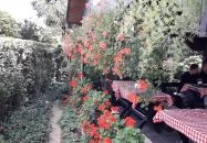 Szikla Falatozó & Pince Budaörs