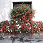 Szikla Falatozó & Pince Budaörs - Külső kép