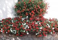 Szikla Falatozó & Pince Budaörs