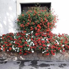 Szikla Falatozó & Pince Budaörs - Külső kép