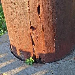 Szilonicsi emlékmű, Barcs - Egyéb