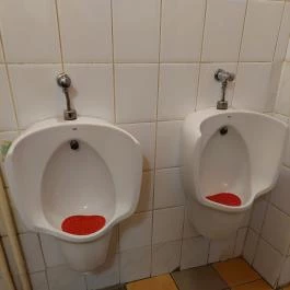 Szilvakék Paradicsom Budapest - Mosdó