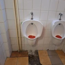 Szilvakék Paradicsom Budapest - Mosdó