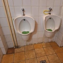 Szilvakék Paradicsom Budapest - Mosdó