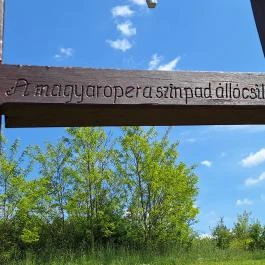 Színészliget, Bogács - Egyéb