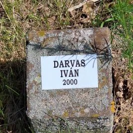 Színészliget, Bogács - Egyéb