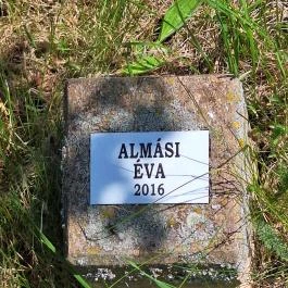 Színészliget, Bogács - Egyéb