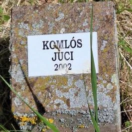 Színészliget, Bogács - Egyéb