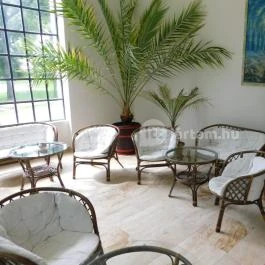 Szirmay-Waldbott Kastély Tolcsva - Egyéb