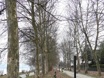 Szoborpark Nagymaros