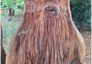 Szoborpark Zalahaláp