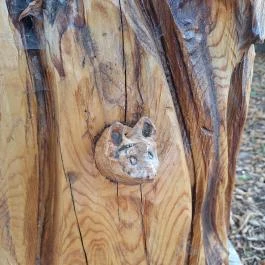 Szoborpark Zalahaláp - Egyéb