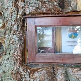 Szoborpark Zalahaláp - Egyéb