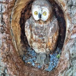 Szoborpark Zalahaláp - Egyéb