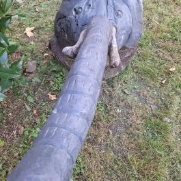 Szoborpark Zalahaláp - Egyéb