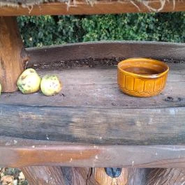 Szoborpark Zalahaláp - Egyéb