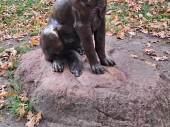 A szobrász kutyája Ábrahámhegy