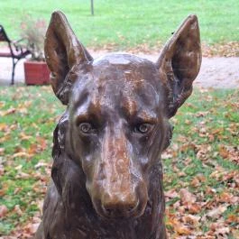 A szobrász kutyája, Ábrahámhegy - Egyéb