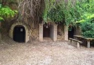 Szóládi löszpincesor Szólád