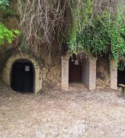 Szóládi löszpincesor