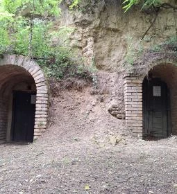 Szóládi löszpincesor