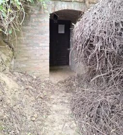 Szóládi löszpincesor