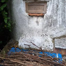 Szóládi löszpincesor, Szólád - Egyéb