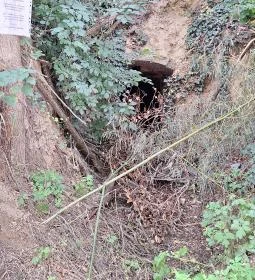 Szóládi löszpincesor