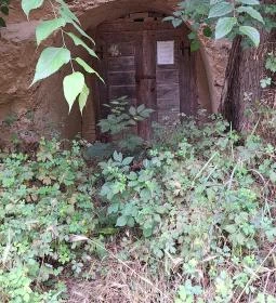 Szóládi löszpincesor