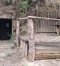 Szóládi löszpincesor