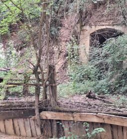 639. legjobb látnivaló: Szóládi löszpincesor