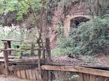 Szóládi löszpincesor Szólád