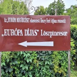 Szóládi löszpincesor, Szólád - Egyéb