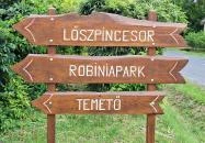 Szóládi löszpincesor Szólád