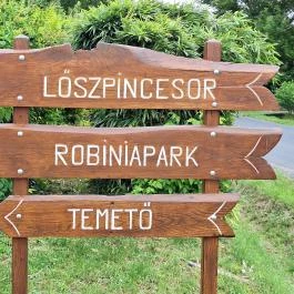 Szóládi löszpincesor, Szólád - Egyéb