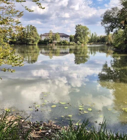 Szombathelyi Csónakázó-tó
